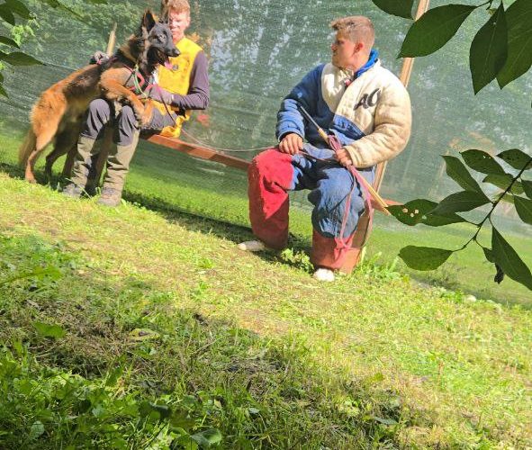 photo_5298498053117968324_y