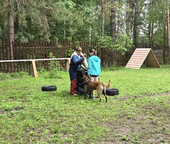 photo_5298498053117968331_y
